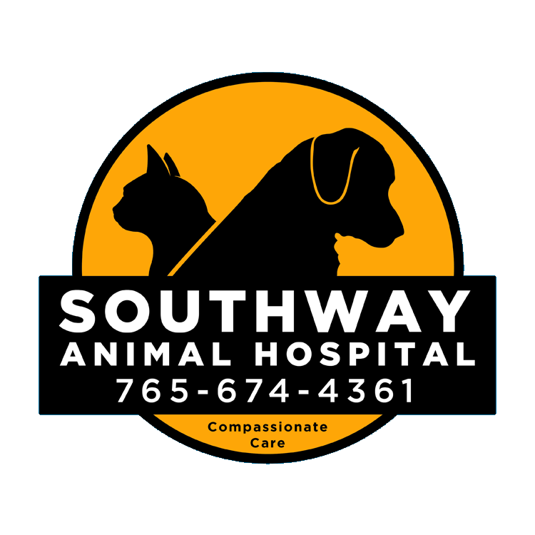 Southway Animal hospital logo only orange