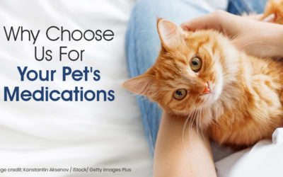 Why Choose Us For Your Pet’s Medications